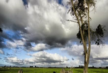 九游娱乐- 姆巴佩可能加盟皇马 